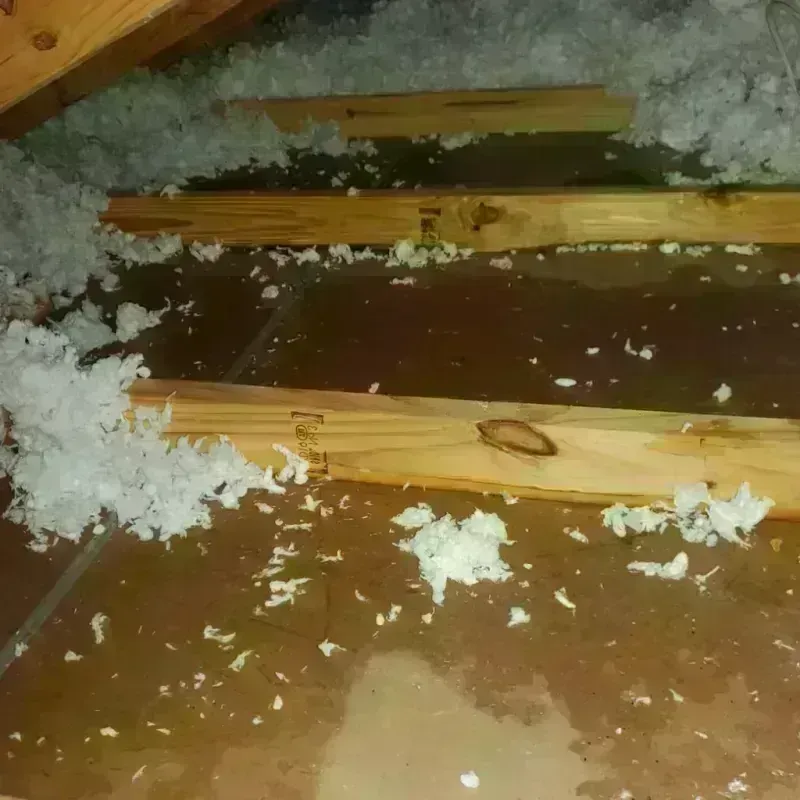 Attic Water Damage in New Athens, IL