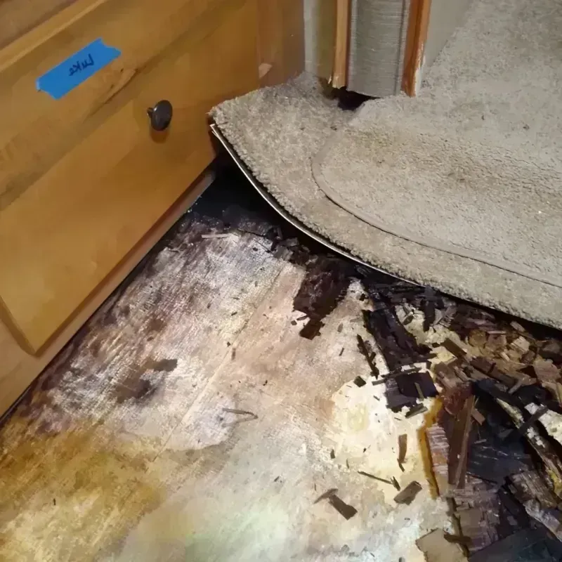 Best Wood Floor Water Damage Service in New Athens, IL